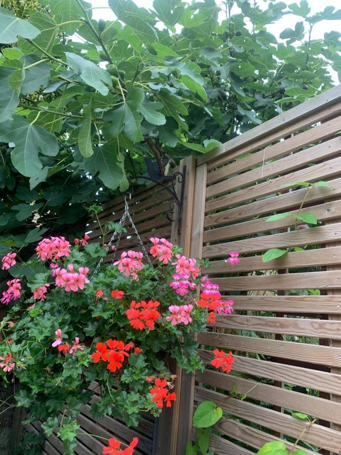 Sunshine Cottage Studley  外观 照片